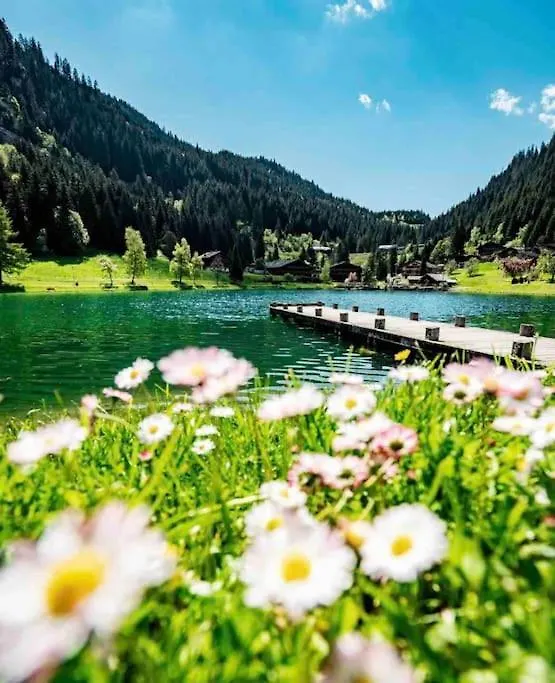 Appartement-Chatel / Apartment-Chatel-Resort 0*, Chatel France
